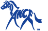 The BALANCE Saddle Company logo