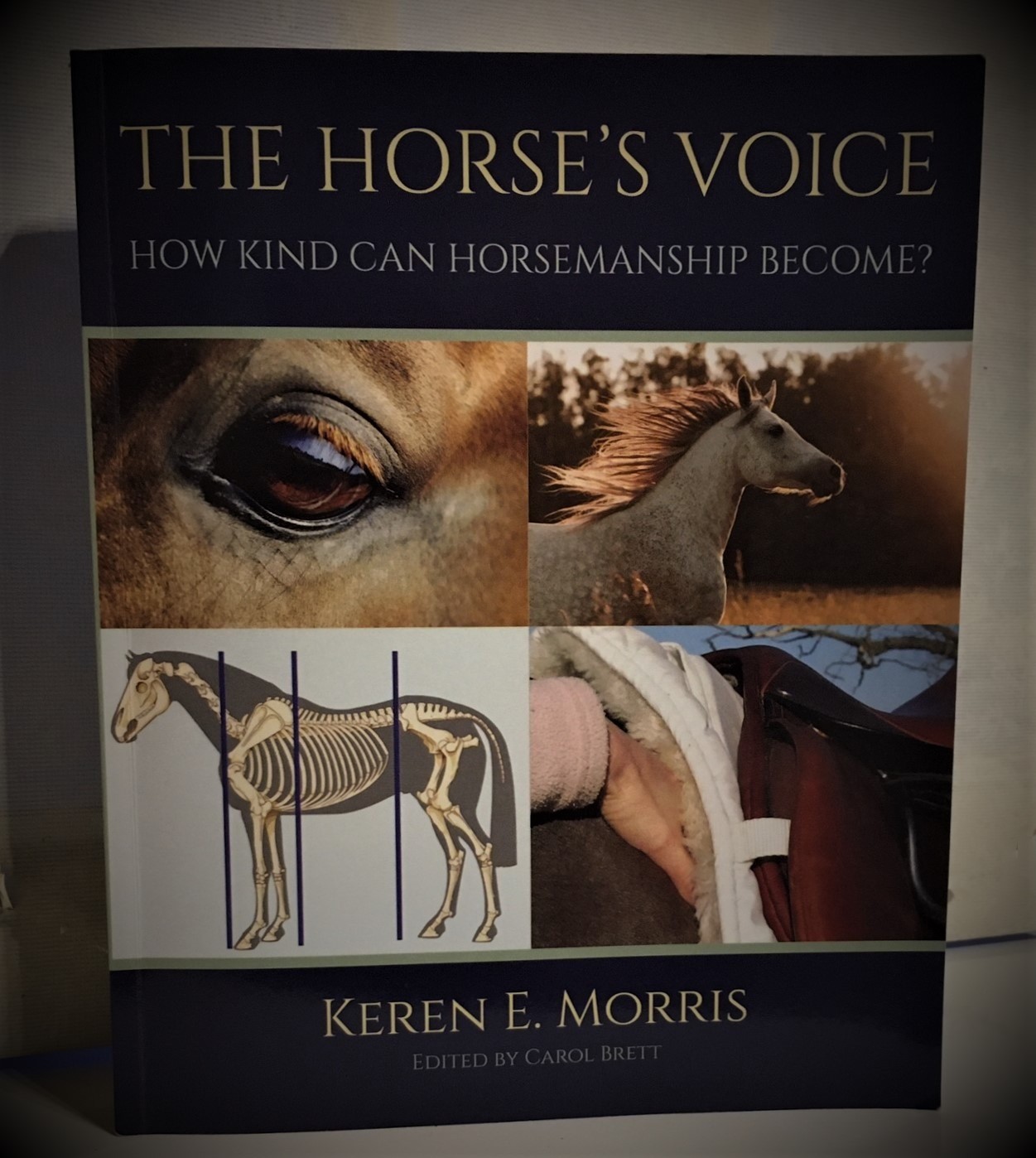 The Horse's Voice